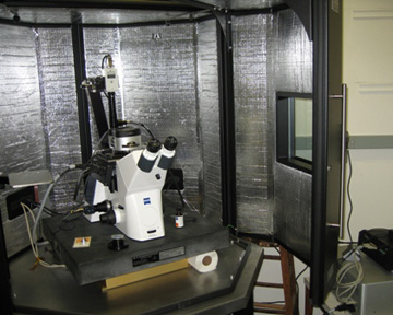 Atomic Force Microscope